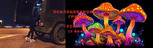 хмурый Нестеровская