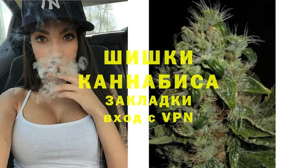 хмурый Нестеровская