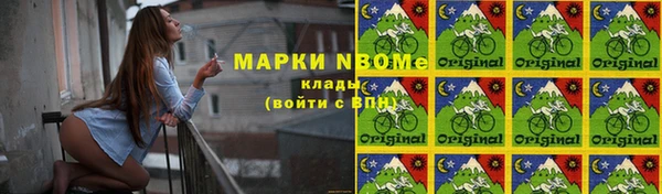 хмурый Нестеровская