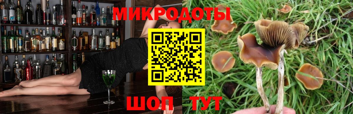 где найти наркотики  Галлюциногенные грибы Cubensis  Усть-Кут  Галлюциногенные грибы Psilocybe 