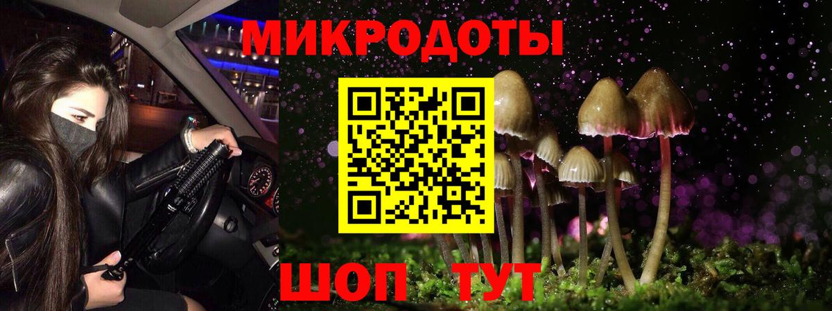 Псилоцибиновые грибы GOLDEN TEACHER Усть-Кут